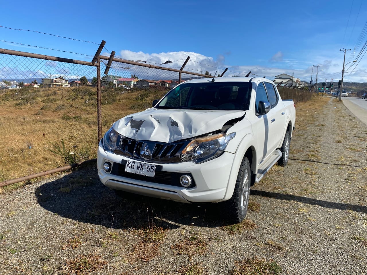 Presentan querella en contra de la Municipalidad de Punta Arenas por daños en vehículo particular ocasionado por un caballo.