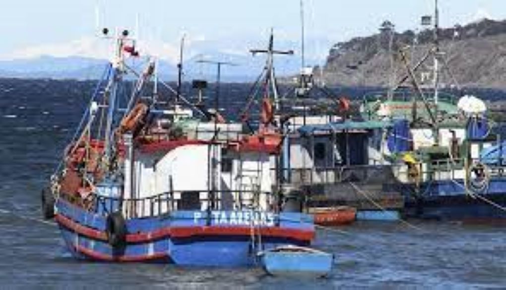 Aumenta plazo y presupuesto en apoyo de la pesca artesanal de Magallanes, para reparación y/o reposición de embarcaciones