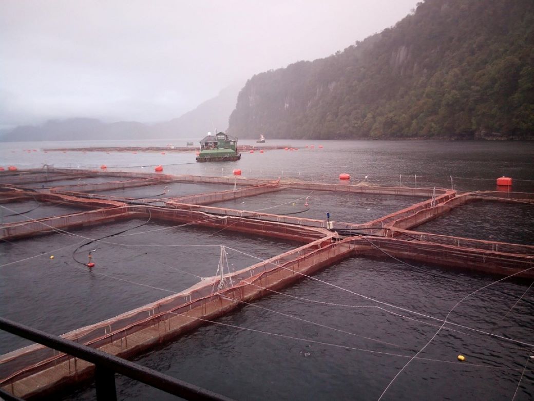 Discuten la recuperación de fondos marinos en concesiones acuícolas de salmonicultura