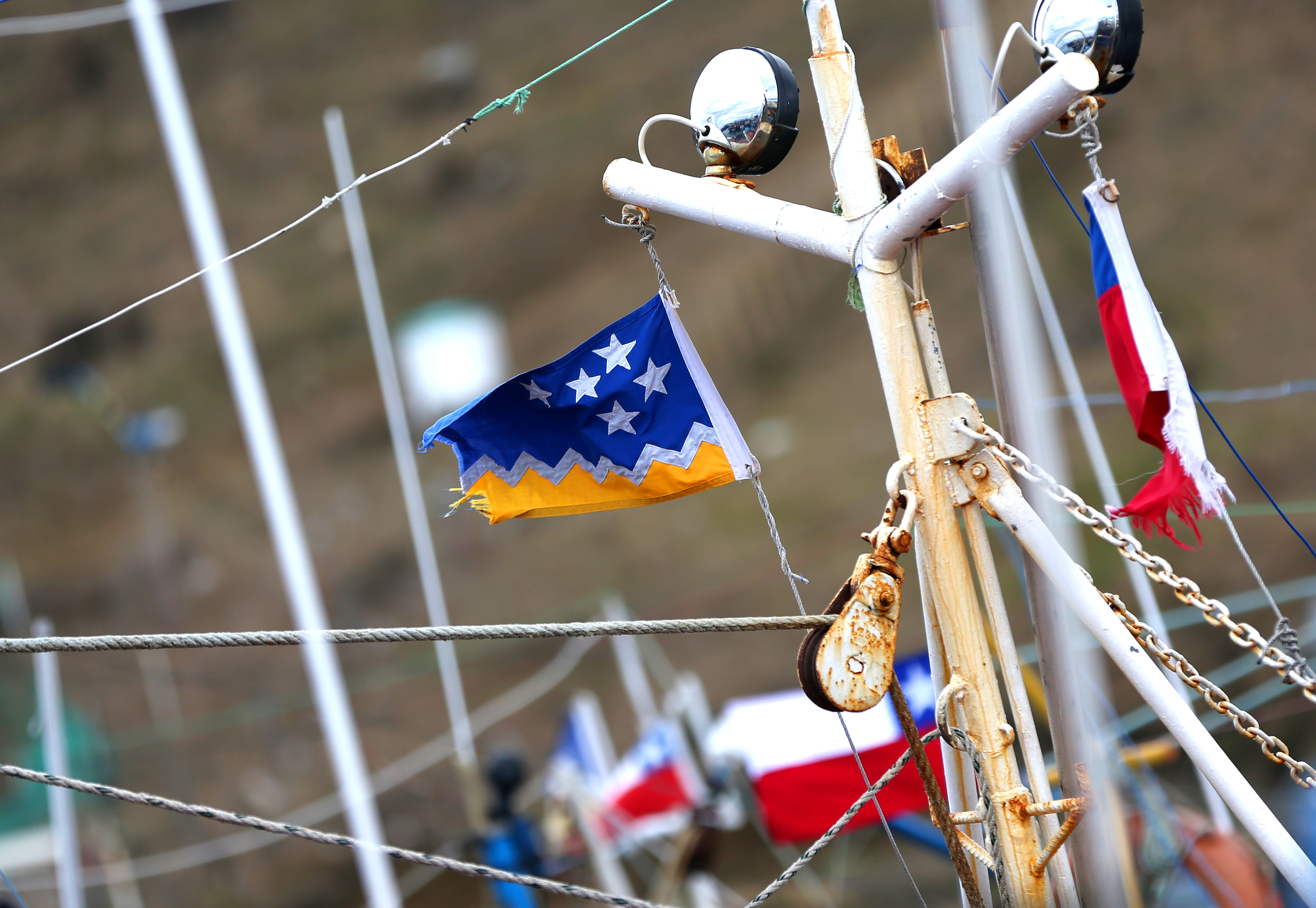 Capital Semilla: Pescadoras de Magallanes pueden optar a fondos para formalizar o consolidar sus emprendimientos.