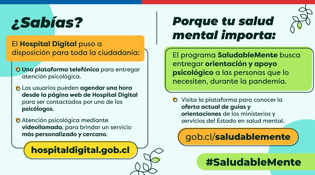 Autoridades regionales destacaron publicación de nueva ley de protección de la salud mental como importante aporte en esta pandemia.