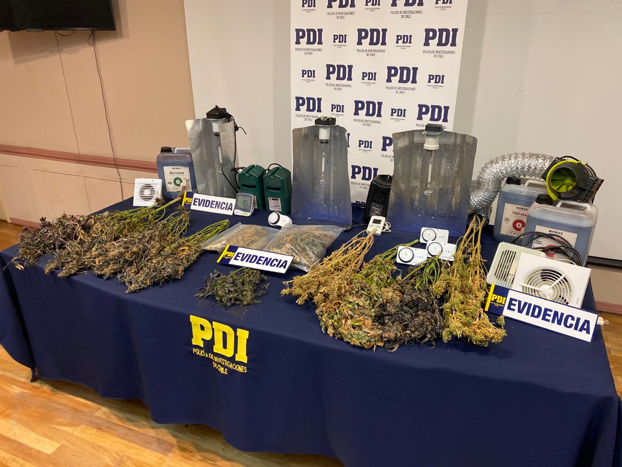 PDI incauta más de 5 millones de pesos en cannabis sativa en una vivienda en Punta Arenas.