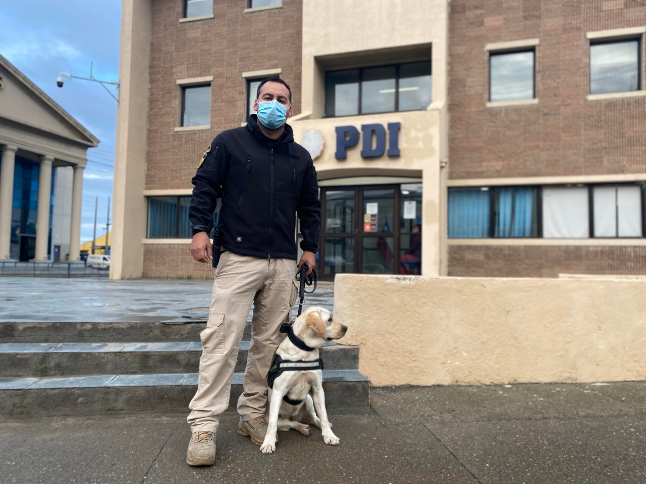 Brigada Antinarcóticos de la PDI de Punta Arenas incorpora un nuevo guía canino.