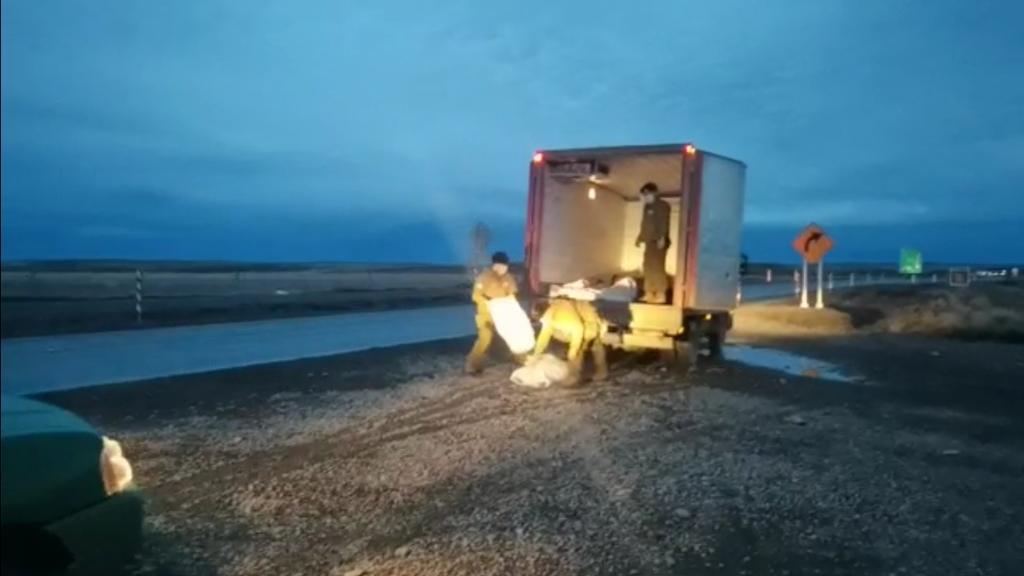 Carabineros de la Tenencia de Cerro Sombrero detuvo a chofer, por infracción a la ley de mataderos clandestinos