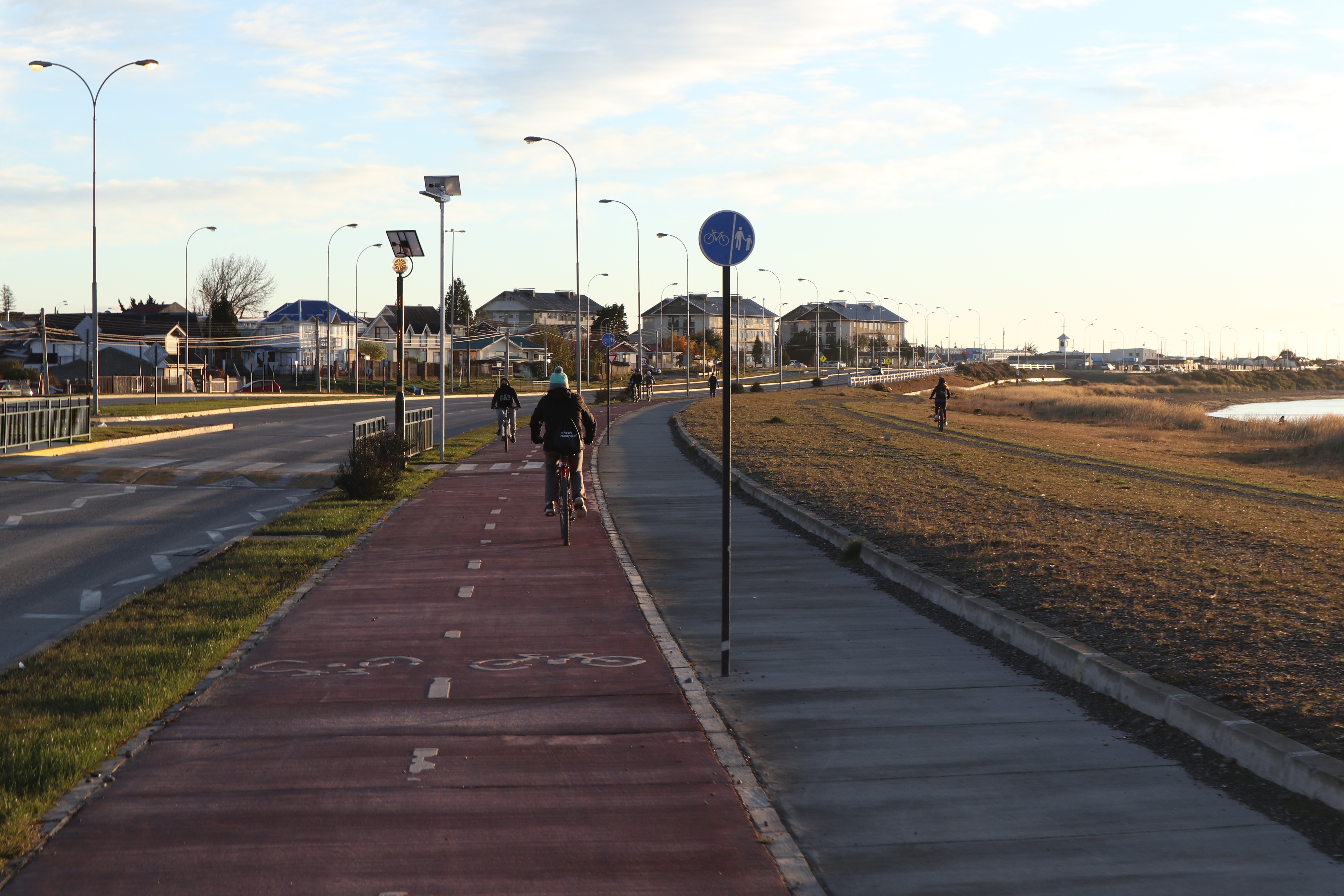 Franja Elige Vivir Sano y talleres virtuales: las opciones para realizar actividad física en cuarentena