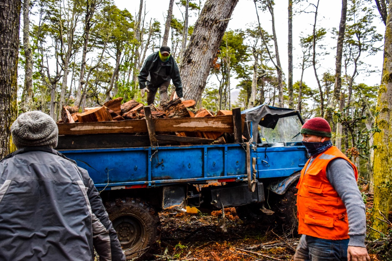 Inician primer proyecto de reactivación económica forestal en Puerto Williams, mediante recolección de leña  para restauración del bosque nativo