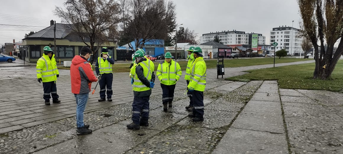 Para un correcto tratamiento silvícola y asegurar el bienestar del recurso natural: trabajadores de Areas Verdes se capacitan en técnicas adecuadas de poda