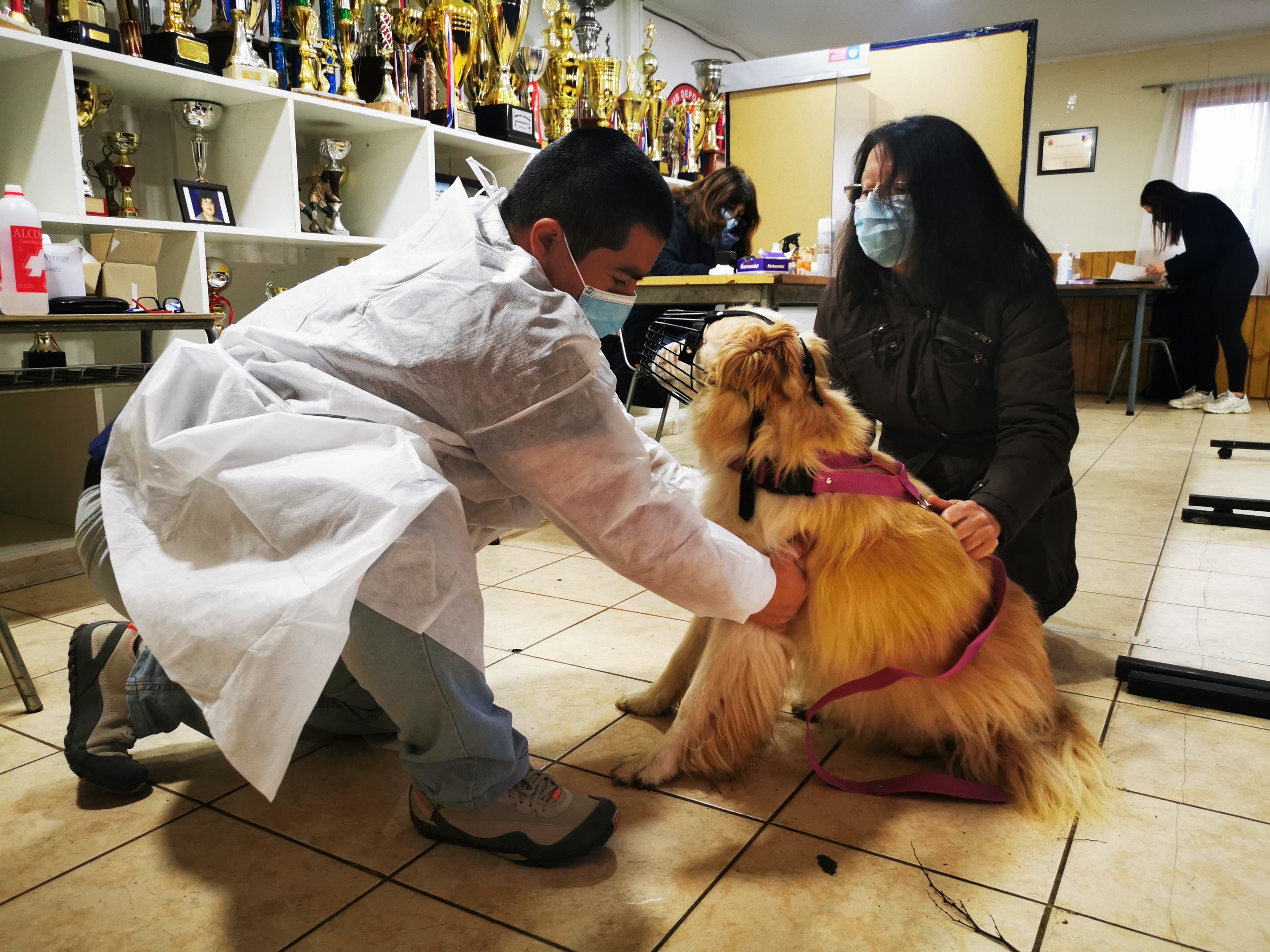 Con diálogos a distintas agrupaciones DPP de Última Esperanza refuerza la tenencia responsable de mascotas