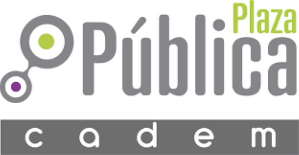 Según CADEM, Lavin, Jadue y Provoste lideran preferencias para la elección presidencial de noviembre