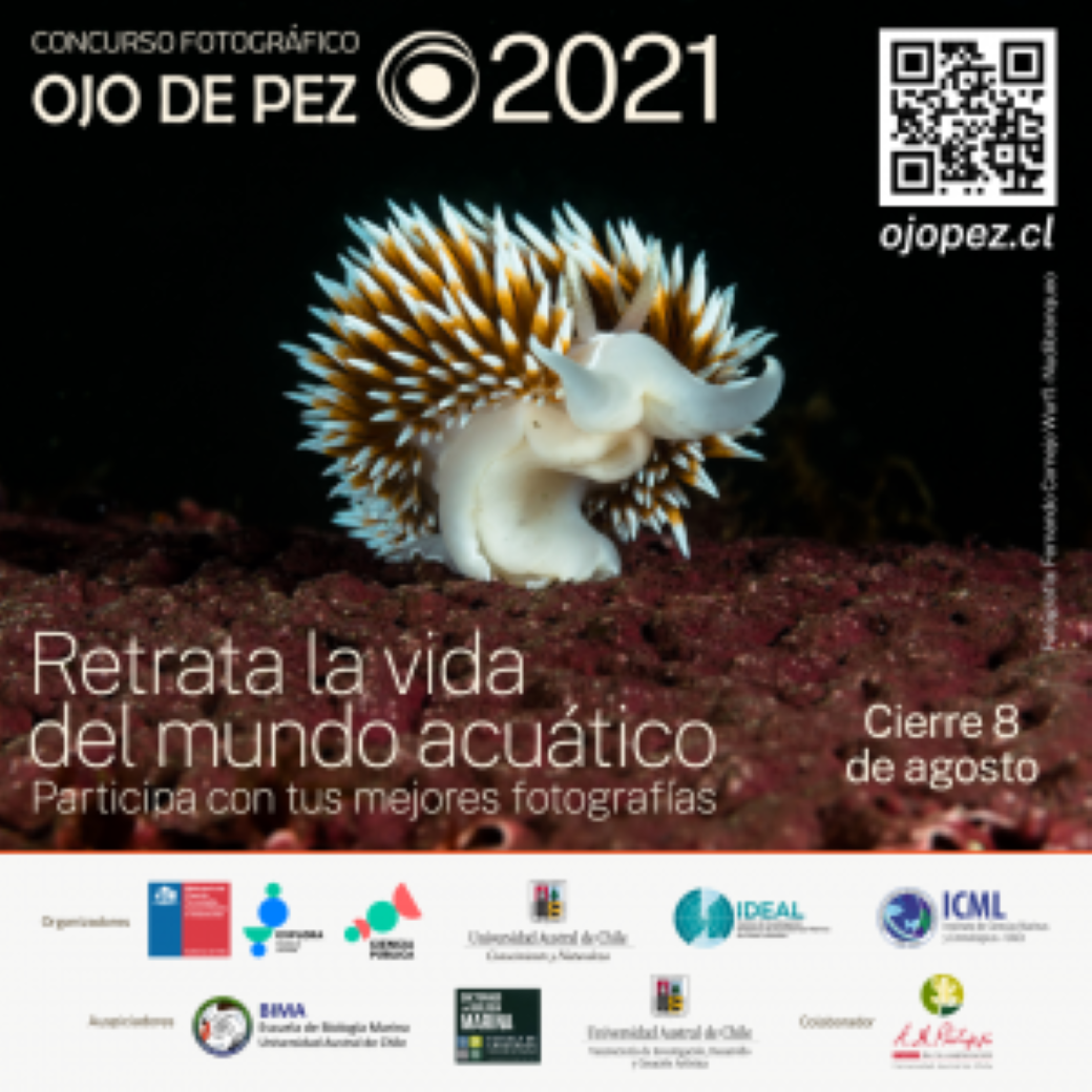 Invitan a participar de una nueva versión del concurso fotográfico Ojo de Pez