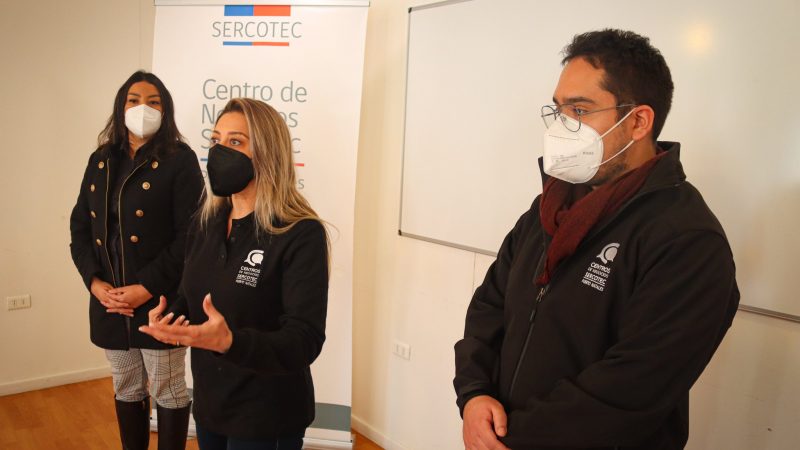 Capital Abeja y Adulto Mejor Abeja de Sercotec beneficiaron a 22 emprendedoras de Última Esperanza