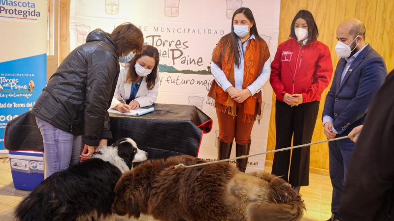 Delegada presidencial Provincial de Última Esperanza Ericka Farías destaca finalización del programa de tenencia responsable