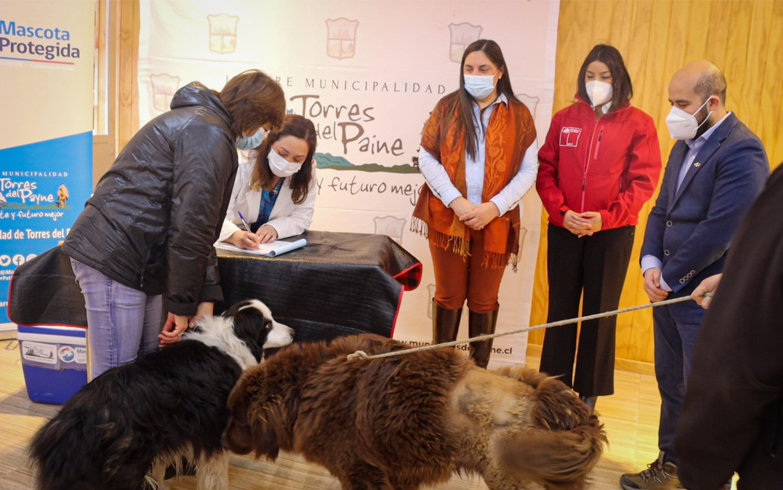 Delegada presidencial Provincial de Última Esperanza Ericka Farías destaca finalización del programa de tenencia responsable