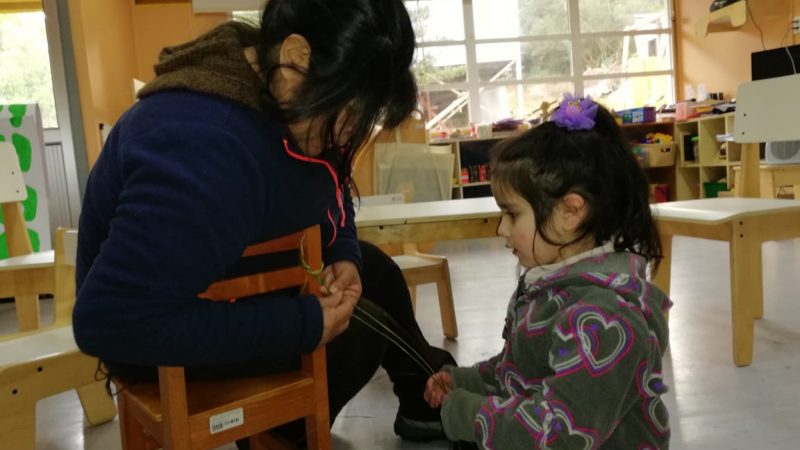 Práctica pedagógica de jardín infantil de Puerto Edén es destacada por la JUNJI a nivel nacional