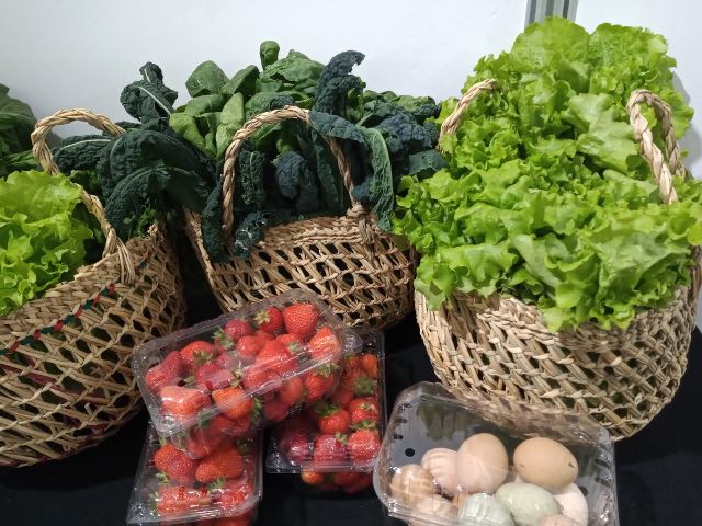 Feria hortícola artesanal en el sector norte de Punta Arenas: una oportunidad para comprar productos frescos