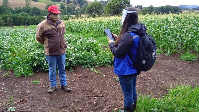 VIII Censo Nacional Agropecuario y Forestal agradece a productores silvoagropecuarios por alta tasa de respuesta