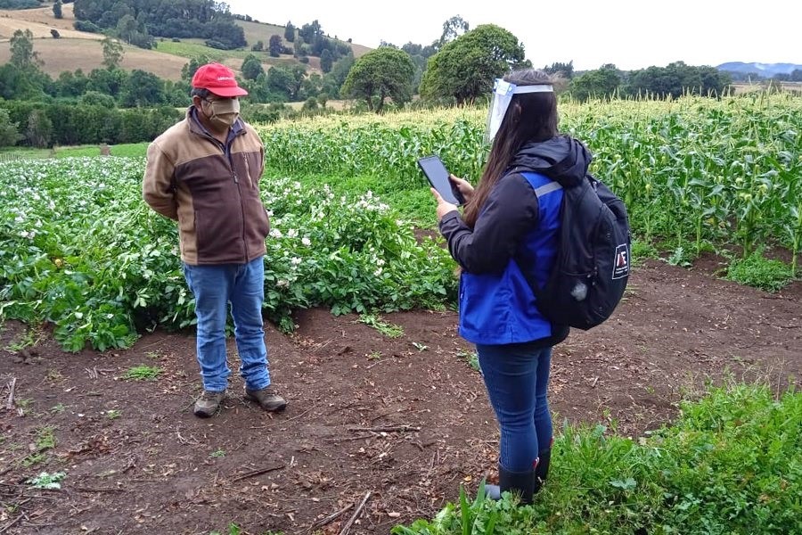 VIII Censo Nacional Agropecuario y Forestal agradece a productores silvoagropecuarios por alta tasa de respuesta