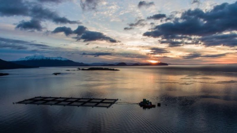 Seremi de Ciencia realizará taller para actualizar Política Nacional de Inteligencia Artificial