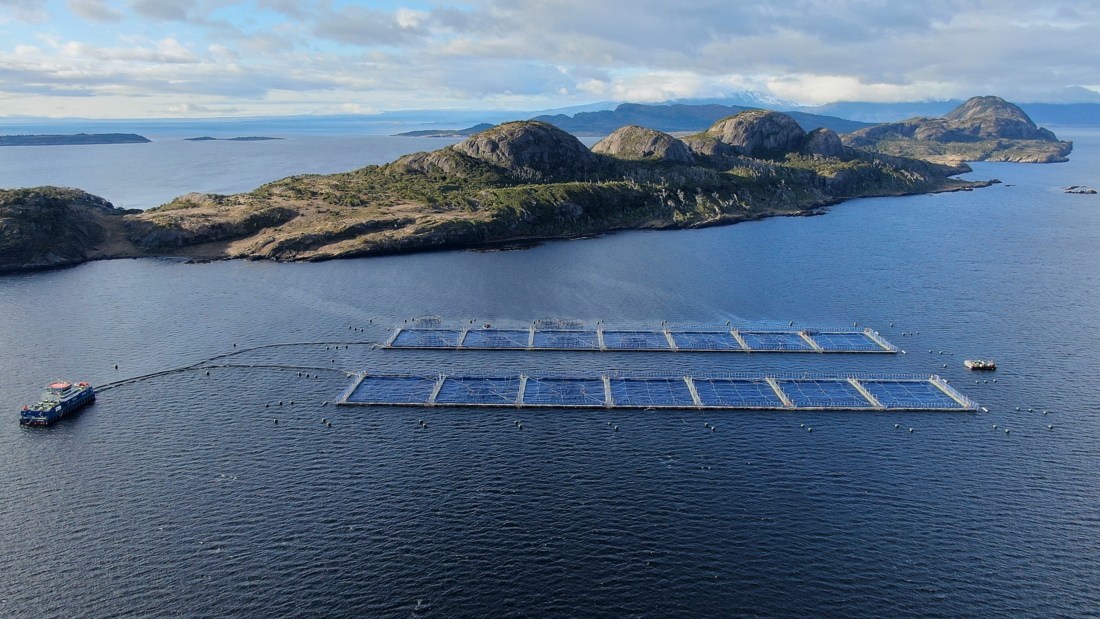 Blumar presenta Quinto Reporte de Sostenibilidad en un seminario con sus trabajadores