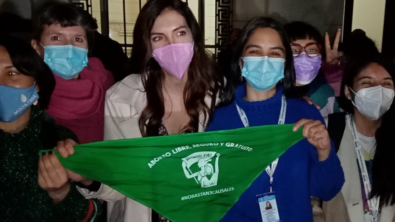 Constituyente por Magallanes Elisa Giustinianovich Campos: “Vamos a llevar todo el corazón y la fuerza feminista de la Patagonia rebelde a la Mesa de la Convención”