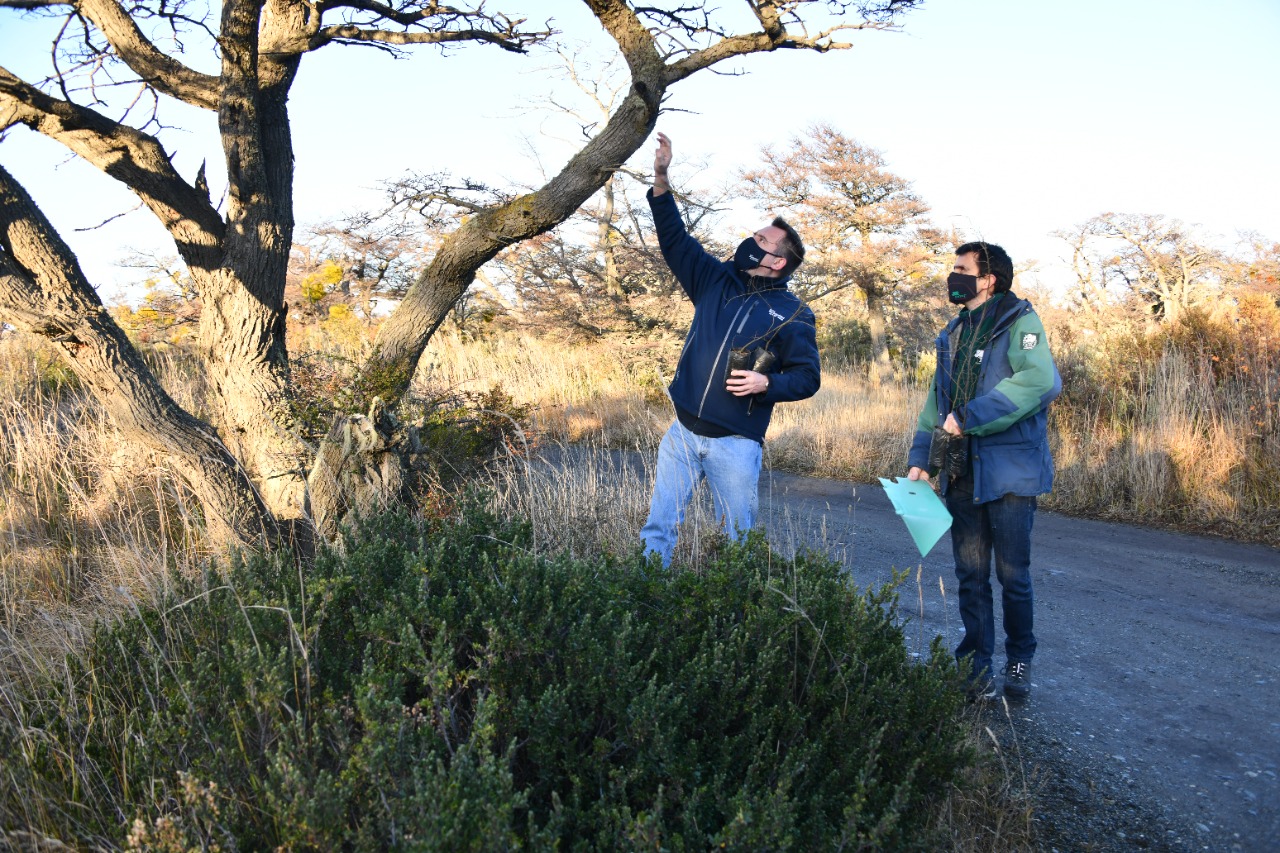 CONAF y Municipalidad de Punta Arenas realizarán intervención de Parque Chabunco para prevenir incendios forestales