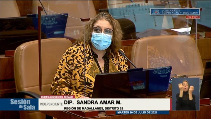 Diputada Amar valora Ley Dominga y la rápida tramitación que se le ha dado en la Cámara