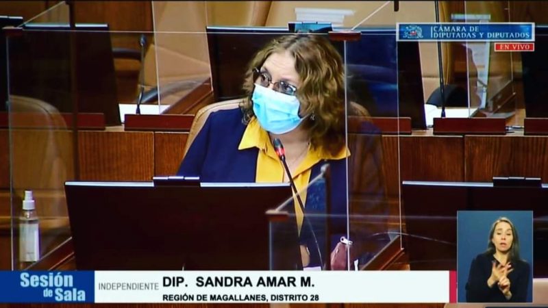 Diputada Amar reitera urgencia a rebaja del impuesto específico a los combustibles tras nueva alza en sus precios