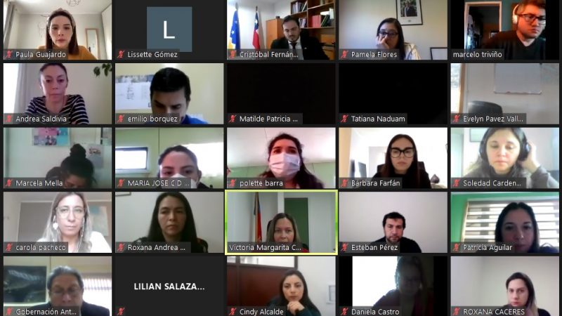 Con más de 80 participantes se desarrolló seminario virtual contra el trabajo infantil