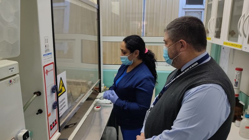 Salud avanza en renovación de acreditación del Instituto Nacional de Normalización para el área de toxinas marinas.