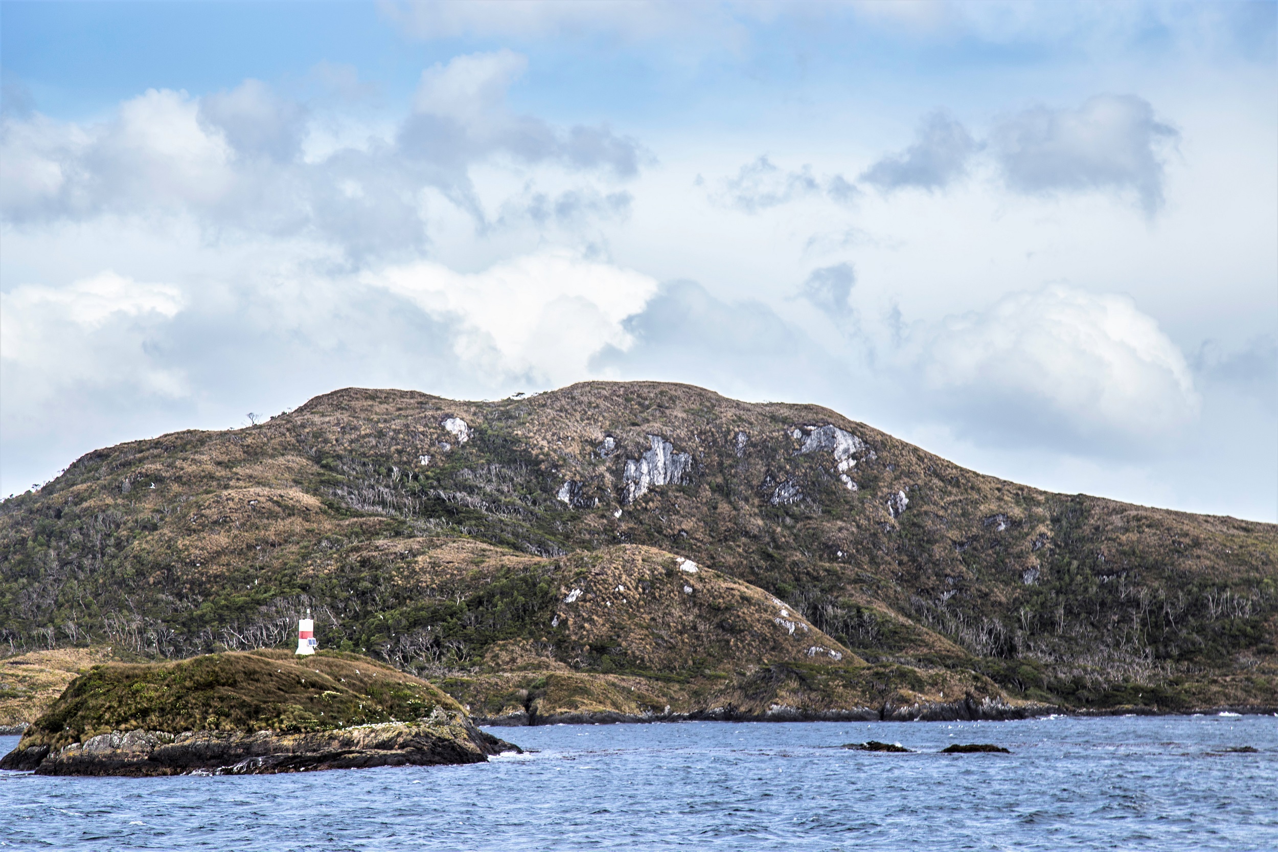 Investigadores y estudiantes participaron del Primer Diálogo Macrozonal Austral: “Desafíos y propuestas para el futuro”
