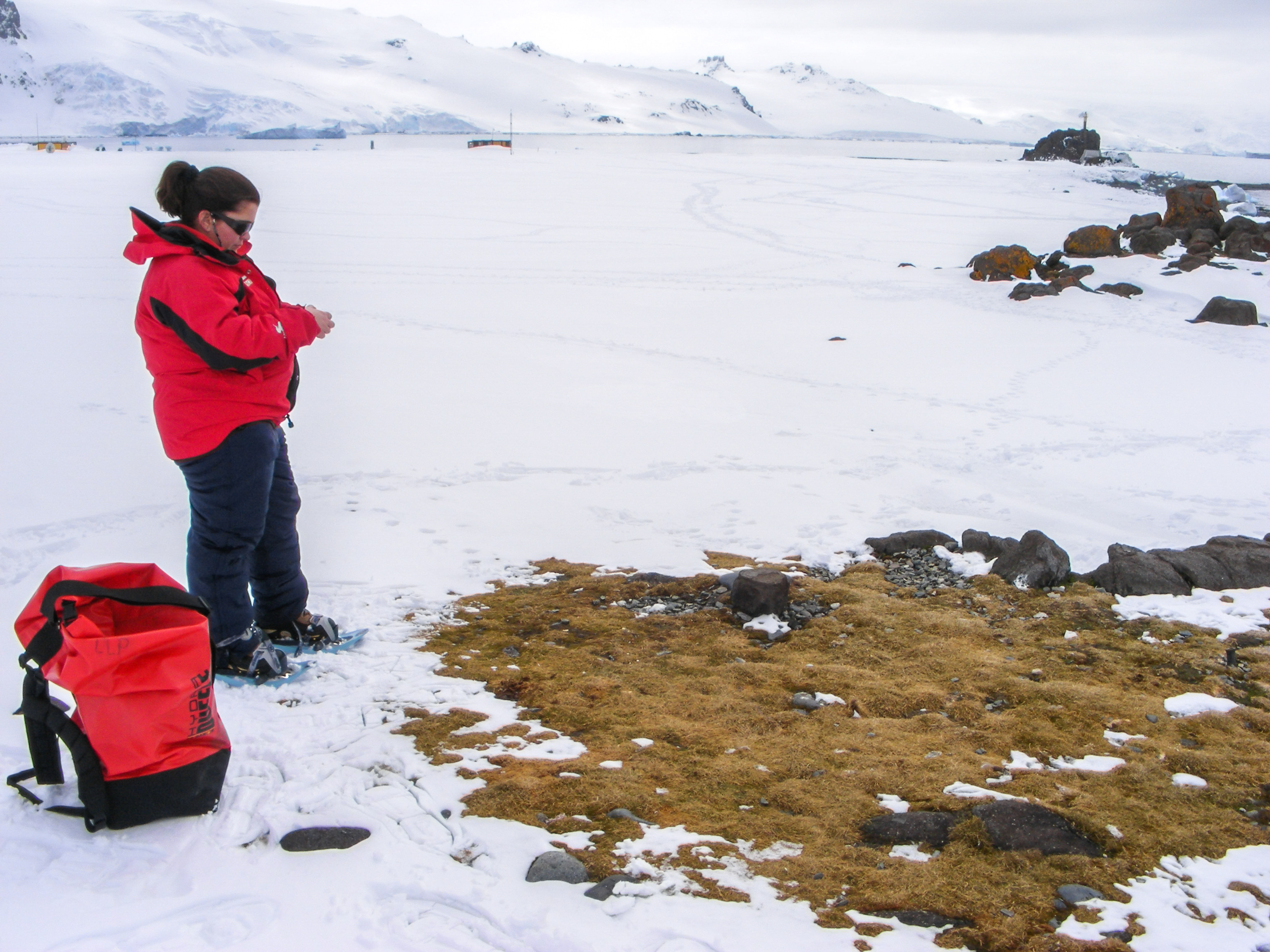 Dra. Marely Cuba, »La investigadora que cuida miles de plantas antárticas»