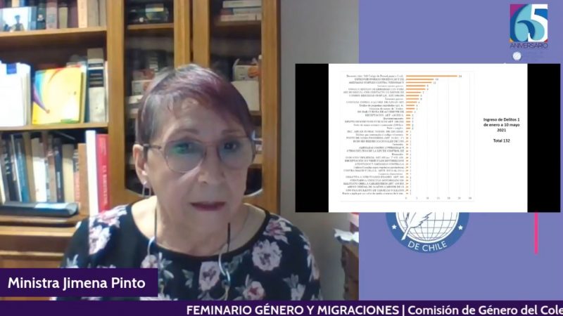 Ministra Marta Jimena Pinto participa de “Feminario” organizado por la comisión de género del colegio de Periodistas de Magallanes