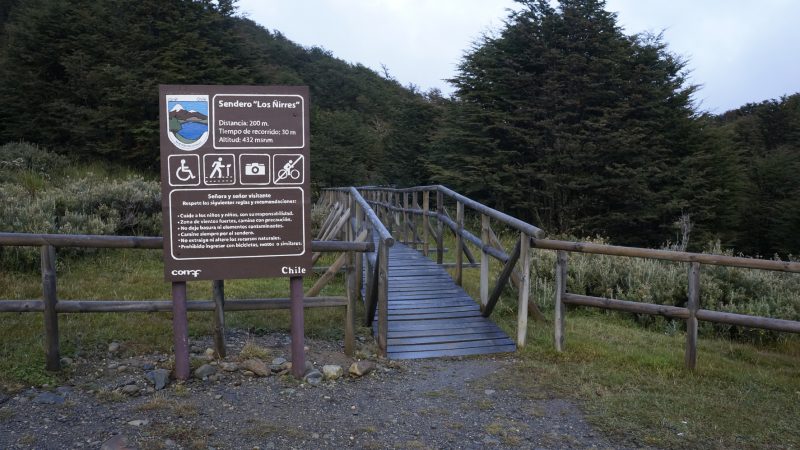 Reserva Nacional Magallanes cerrará el fin de semana largo para facilitar búsqueda de mujer desaparecida