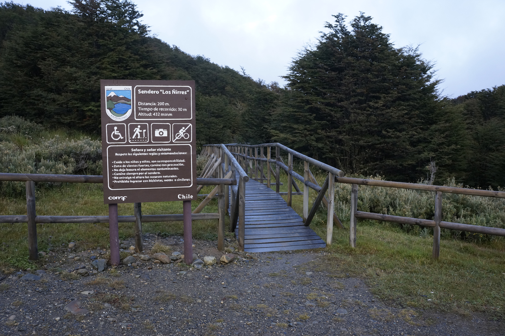 Reserva Nacional Magallanes cerrará el fin de semana largo para facilitar búsqueda de mujer desaparecida