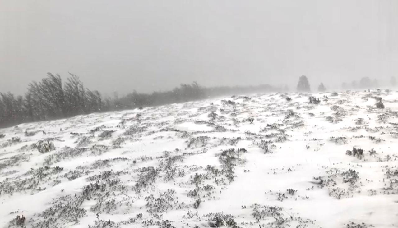 Continúa búsqueda de mujer en la Reserva Forestal de Magallanes