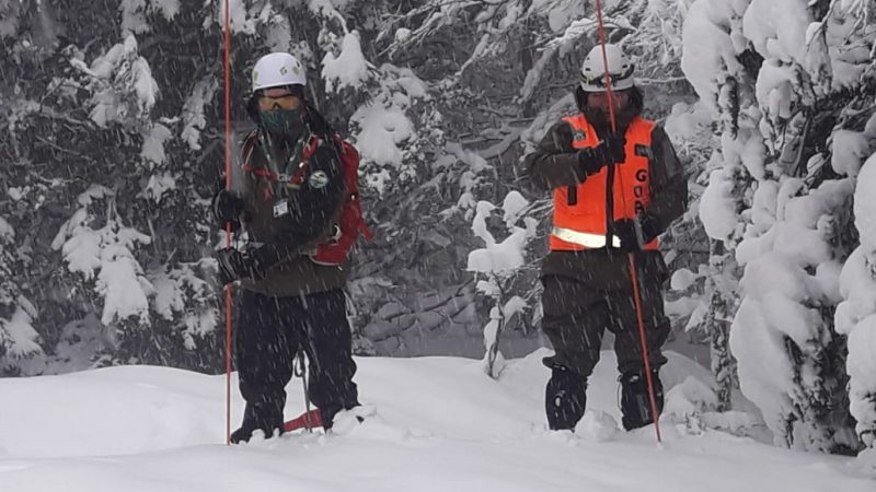 Nueva jornada de búsqueda de mujer extraviada en la reserva forestal, culminó sin resultados positivos.