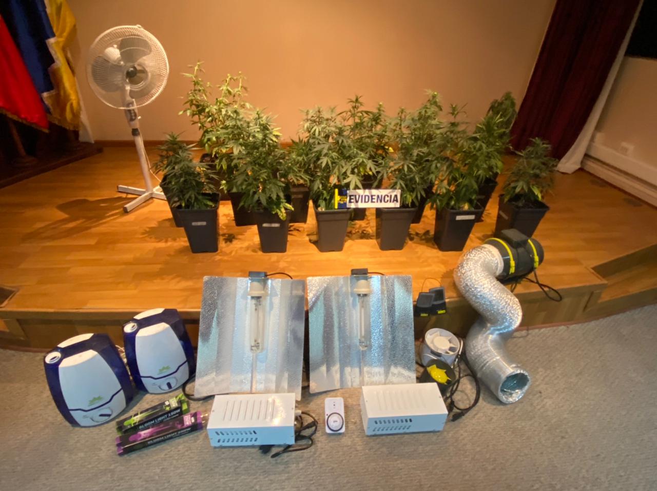 PDI Puerto Natales detiene a un sujeto por infracción al art. 8 de la ley nº 20.000.