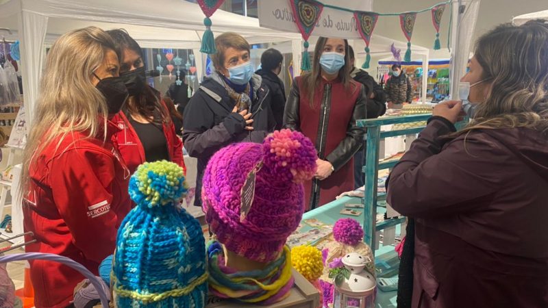 Autoridades de Magallanes en compañía de la ministra de las Culturas, las Artes y el Patrimonio lanzan programa Formalízate SERCOTEC 2021