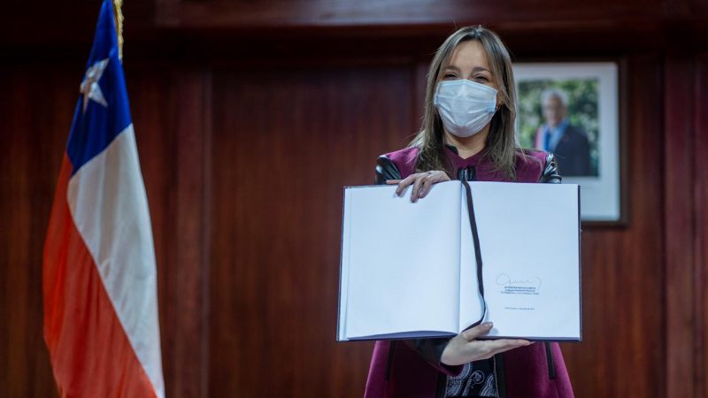 Funciones tanto del Gobernador Regional como del Delegado Presidencial