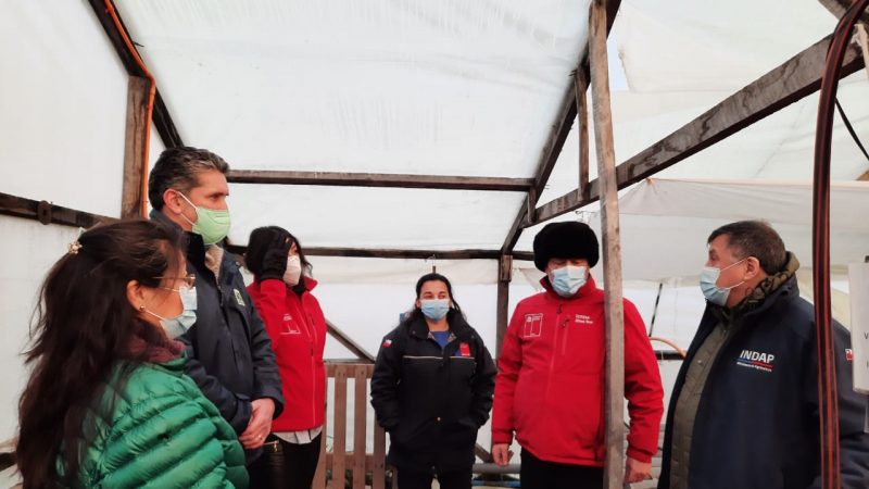 Autoridades difunden bono alivio (MYPES) entre pequeños agricultores de Última Esperanza