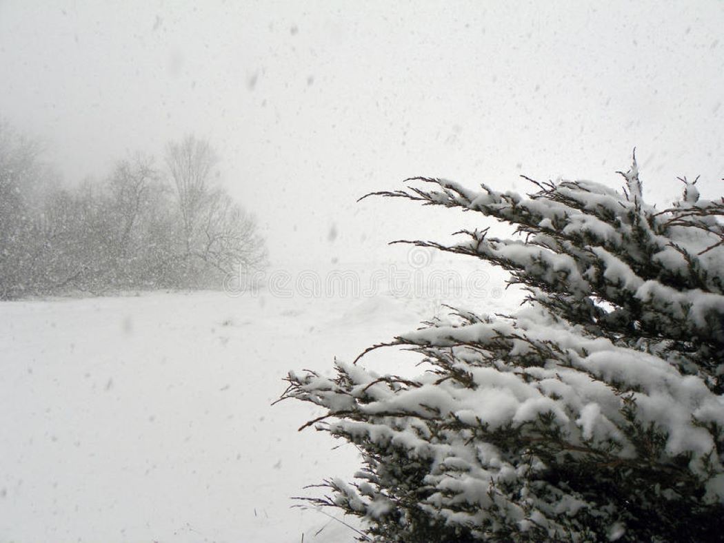 Chubascos de nieve se pronostican este domingo 11 de julio en Magallanes