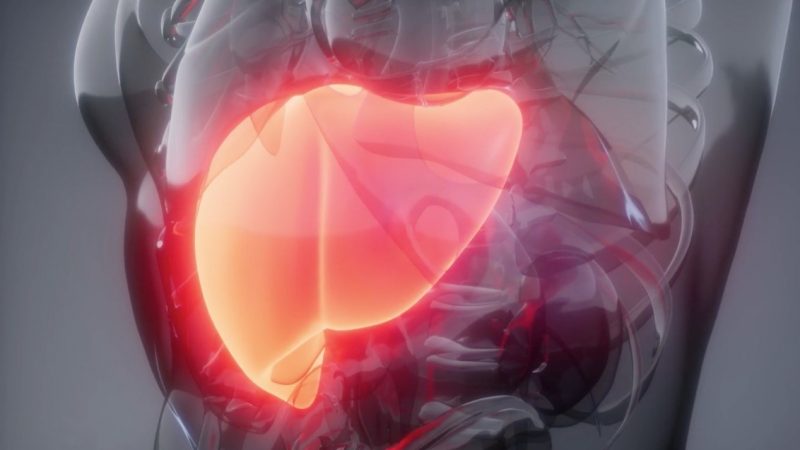 Dr. Gabriel Mezzano, en el Día Mundial de la Hepatitis: “Por cada año de retraso en el diagnóstico y tratamiento de la hepatitis, aumentarán 44 mil nuevos casos de cáncer de hígado y 72 mil muertes nivel global para el 2030”