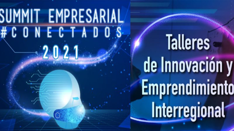 Summit Empresarial Conectados 2021: CPC Magallanes coorganiza proyecto adjudicado y liderado por ASIVA.
