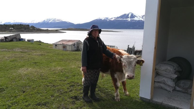 INDAP destaca a cuatro campesinos por el esfuerzo, innovación y la entrega de productos frescos durante la pandemia