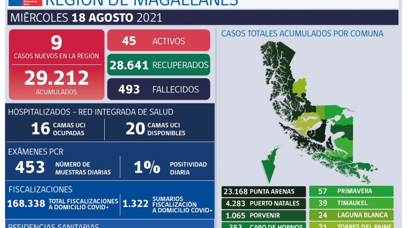 Sistema Epivigila informó 9 casos nuevos para Magallanes