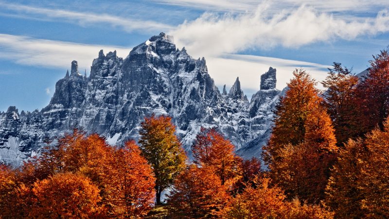 Organizan evento internacional para posicionar la Ruta de los Parques de la Patagonia