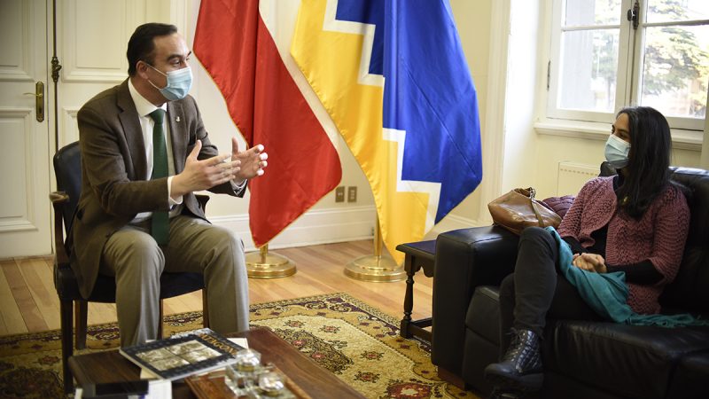 Gobierno Regional de Magallanes se pone a disposición de la Convención Constitucional