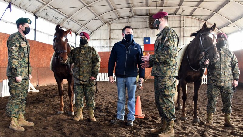 Municipio de Punta Arenas y Ejército retomaron convenio para que más de 100 niños de la comuna puedan acceder a equinoterapia gratuita