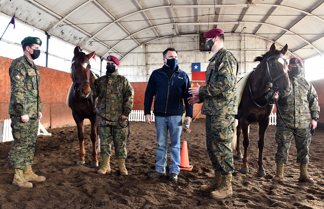 Municipio de Punta Arenas y Ejército retomaron convenio para que más de 100 niños de la comuna puedan acceder a equinoterapia gratuita