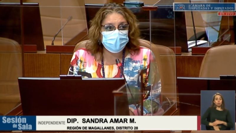 Diputada Amar aprueba y se despacha a ley proyecto que obliga al uso de tobilleras electrónicas para quienes ejerzan violencia intrafamiliar